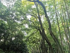 -采石矶景区