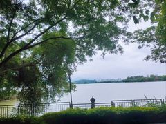 -星湖愉景酒家