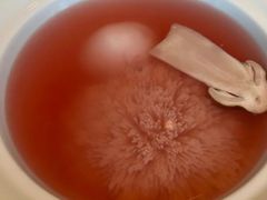 -淮香国色·淮扬菜(正大中心店)
