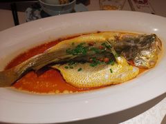 -维园悦谱·海派家常菜(乌鲁木齐南路店)