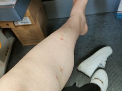 -三亚海棠湾万丽度假酒店