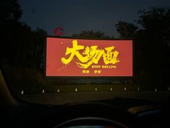 -枫花园汽车电影院(朝阳公园店)