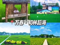 -老鼎万春卤菜(五代传承创始老店)