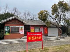 -上海海湾国家森林公园