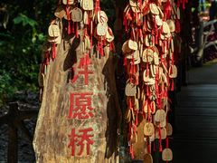 -莫里热带雨林景区