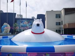 -西安曲江海洋极地公园