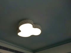 -欧普照明(红星美凯龙浦江店)