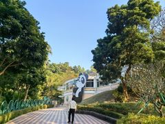 -石排湾郊野公园