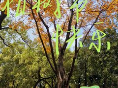 -晓港公园