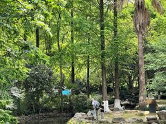 -苏州河梦清园环保主题公园