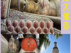 -张掖大佛寺景区