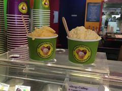 -Dooley's Premium Ice Cream