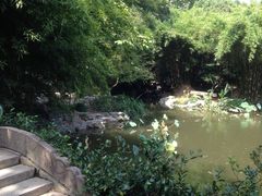 -汇龙潭