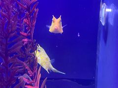 -哈尔滨波塞冬海底世界