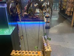 -宠物世家(仲盛世界商城店)