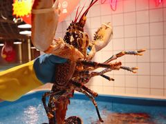 -日进一片海.生腌海鲜火锅.宵夜烧烤(三里屯总店)