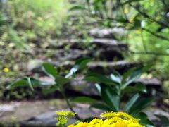 -太湖源风景区