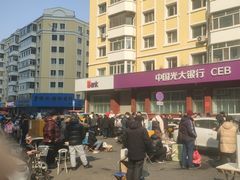 -哈尔滨道外花鸟鱼市场