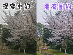 -良渚文化村