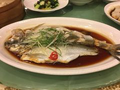 -中国饭店-餐厅