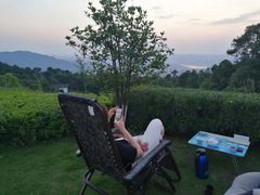 -铁山坪森林公园