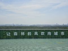 -南京老山国家森林公园