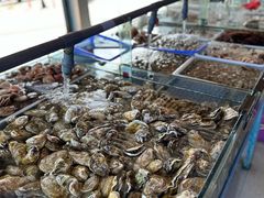 -老太太海鲜城(森林公园任家台店)