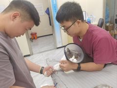 -芭比堂动物医院·24小时·眼科中心(深圳中心)