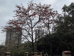 -晓港公园