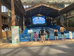 -杭州开元森泊度假乐园