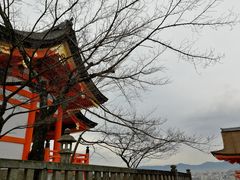 -有栖山 清光院 清水寺