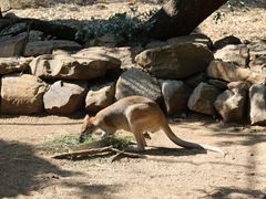 -费瑟代尔野生动物园