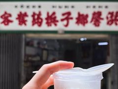 -洪馨椰子