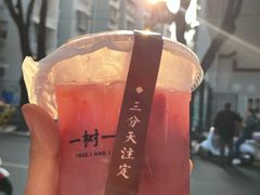 -一树一叶·福建茶档(石鼓路店)
