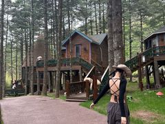 -洛阳白云山景区