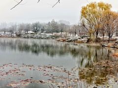 -北京植物园-展览温室