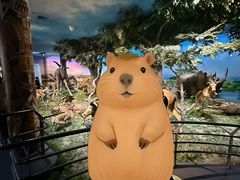 -国家自然博物馆