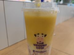 -一只酸奶牛(百联南岸上海城店)