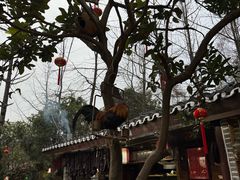 -青城甲(青城山店)