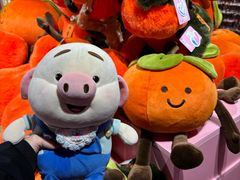 -重庆十八梯传统风貌区