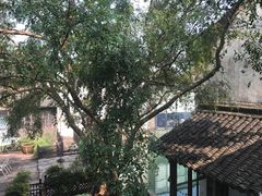 -乌镇枕水度假酒店