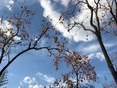 -景山公园