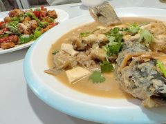 -煲来饱去冷水鱼