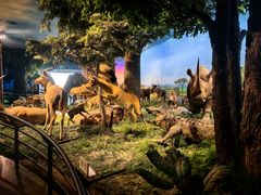 -国家自然博物馆