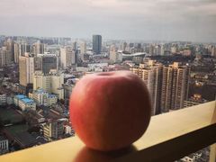 -上海外滩茂悦大酒店