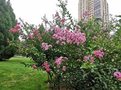 -中华世纪坛-停车场