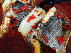风鑫铃罗非鱼-风鑫铃罗非鱼(道沟店)