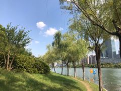 -天鹅湖体育公园