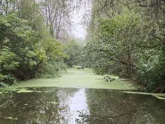 -溱湖国家湿地公园