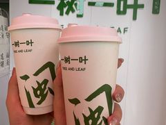 -一树一叶·福建茶档(石鼓路店)